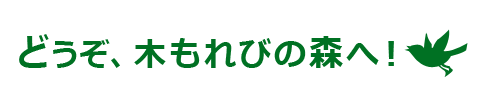 どうぞ、こもれびの森（相模原市）へ！