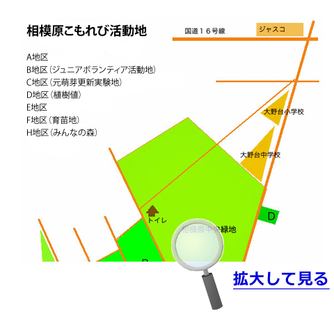 相模原こもれび活動場所