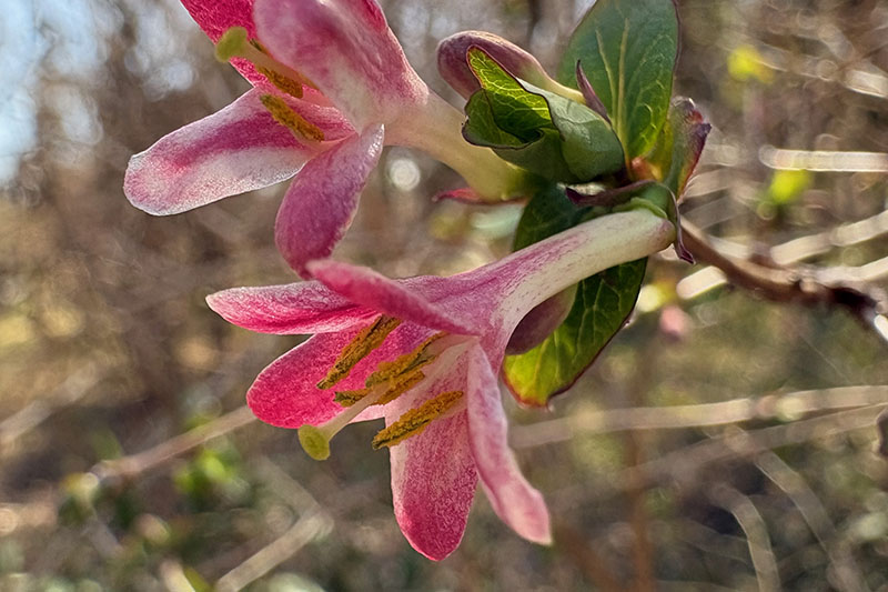 どうぞ、こもれびの森（相模原市）へ！