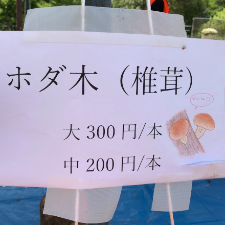 ホダ木