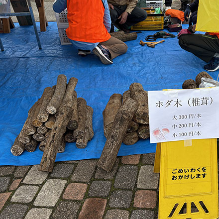 ホダ木