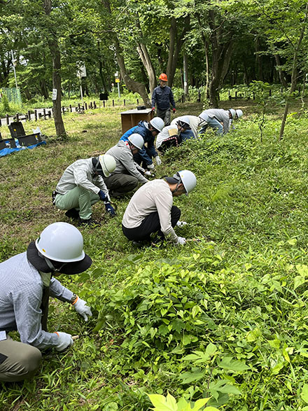 草刈り