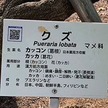 看板